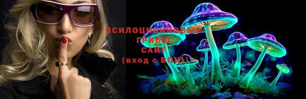 тгк Гусь-Хрустальный