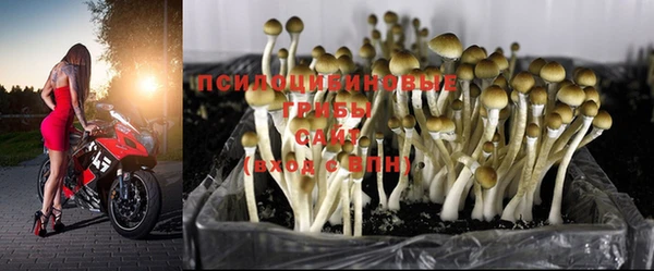 меф VHQ Горнозаводск