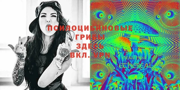 сатива Гусиноозёрск
