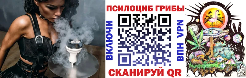 наркота  Дегтярск  Псилоцибиновые грибы прущие грибы 
